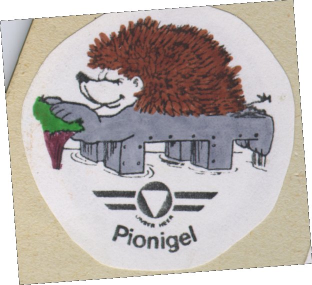 PIONIGEL